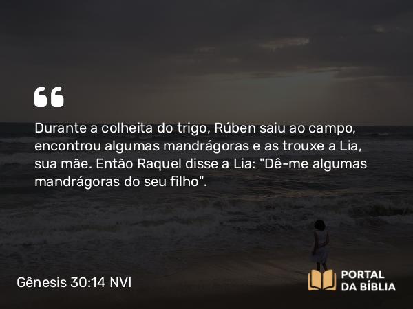 Gênesis 30:14 NVI - Durante a colheita do trigo, Rúben saiu ao campo, encontrou algumas mandrágoras e as trouxe a Lia, sua mãe. Então Raquel disse a Lia: 