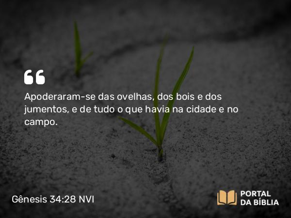 Gênesis 34:28 NVI - Apoderaram-se das ovelhas, dos bois e dos jumentos, e de tudo o que havia na cidade e no campo.