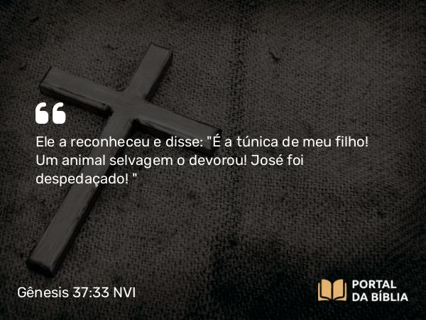 Gênesis 37:33 NVI - Ele a reconheceu e disse: 