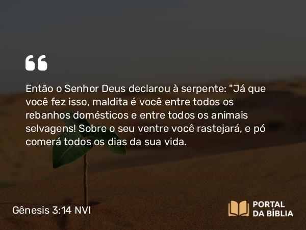 Gênesis 3:14-19 NVI - Então o Senhor Deus declarou à serpente: 