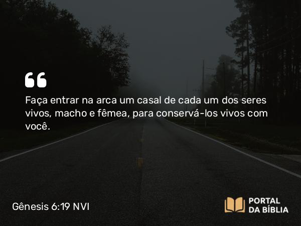 Gênesis 6:19 NVI - Faça entrar na arca um casal de cada um dos seres vivos, macho e fêmea, para conservá-los vivos com você.