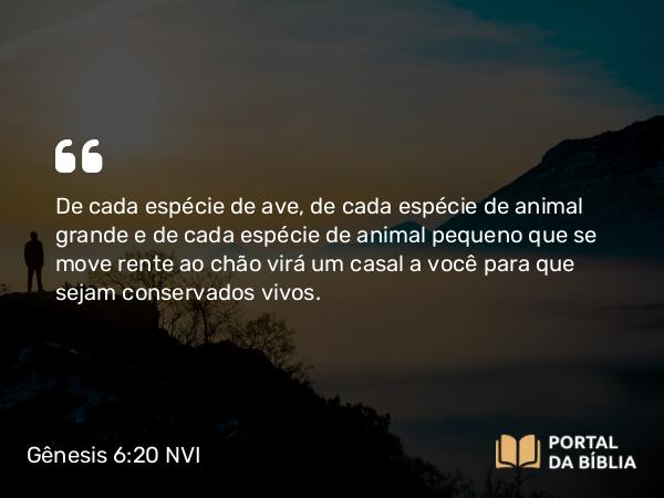 Gênesis 6:20 NVI - De cada espécie de ave, de cada espécie de animal grande e de cada espécie de animal pequeno que se move rente ao chão virá um casal a você para que sejam conservados vivos.