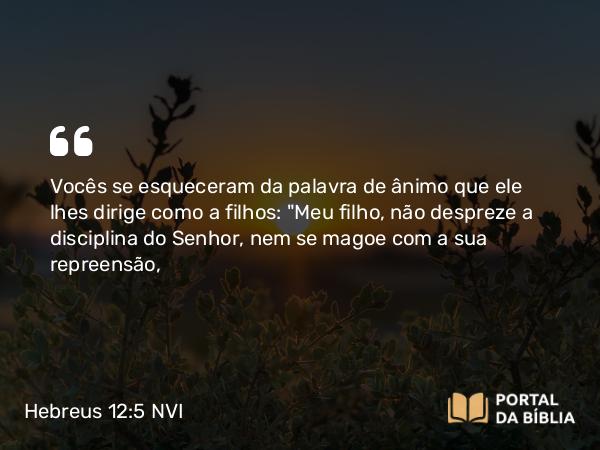 Hebreus 12:5-10 NVI - Vocês se esqueceram da palavra de ânimo que ele lhes dirige como a filhos: 