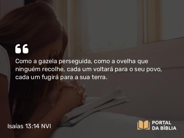 Isaías 13:14 NVI - Como a gazela perseguida, como a ovelha que ninguém recolhe, cada um voltará para o seu povo, cada um fugirá para a sua terra.