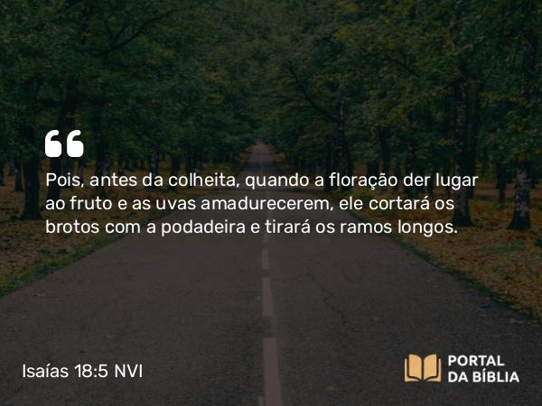 Isaías 18:5 NVI - Pois, antes da colheita, quando a floração der lugar ao fruto e as uvas amadurecerem, ele cortará os brotos com a podadeira e tirará os ramos longos.