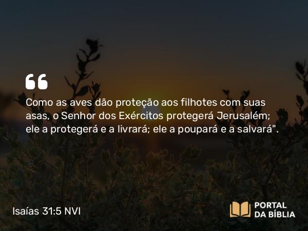 Isaías 31:5 NVI - Como as aves dão proteção aos filhotes com suas asas, o Senhor dos Exércitos protegerá Jerusalém; ele a protegerá e a livrará; ele a poupará e a salvará