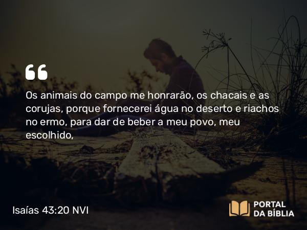 Isaías 43:20 NVI - Os animais do campo me honrarão, os chacais e as corujas, porque fornecerei água no deserto e riachos no ermo, para dar de beber a meu povo, meu escolhido,