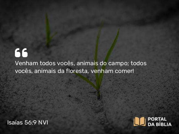 Isaías 56:9 NVI - Venham todos vocês, animais do campo; todos vocês, animais da floresta, venham comer!