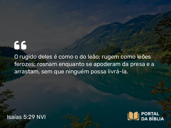 Isaías 5:29 NVI - O rugido deles é como o do leão; rugem como leões ferozes; rosnam enquanto se apoderam da presa e a arrastam, sem que ninguém possa livrá-la.