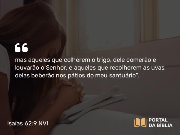 Isaías 62:9 NVI - mas aqueles que colherem o trigo, dele comerão e louvarão o Senhor, e aqueles que recolherem as uvas delas beberão nos pátios do meu santuário