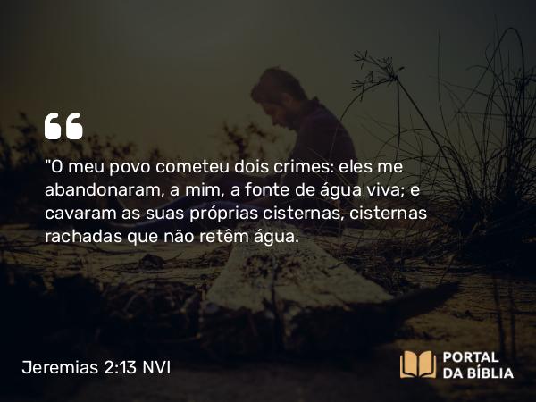 Jeremias 2:13 NVI - 