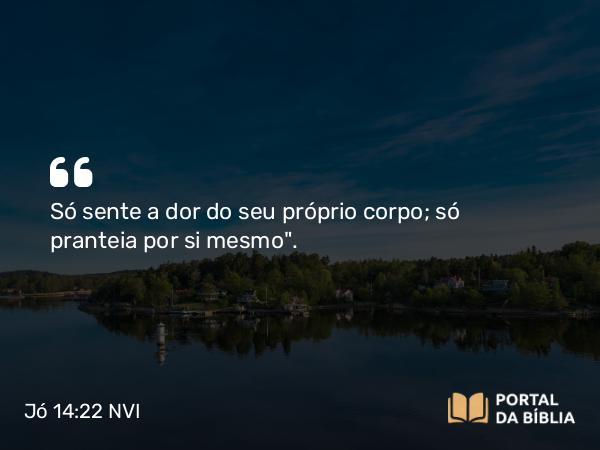 Jó 14:22 NVI - Só sente a dor do seu próprio corpo; só pranteia por si mesmo