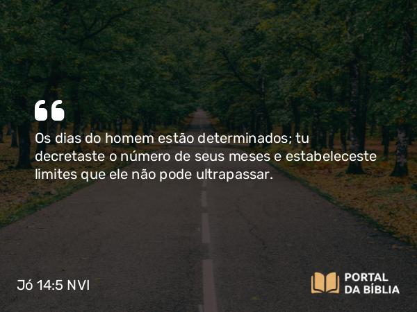 Jó 14:5 NVI - Os dias do homem estão determinados; tu decretaste o número de seus meses e estabeleceste limites que ele não pode ultrapassar.