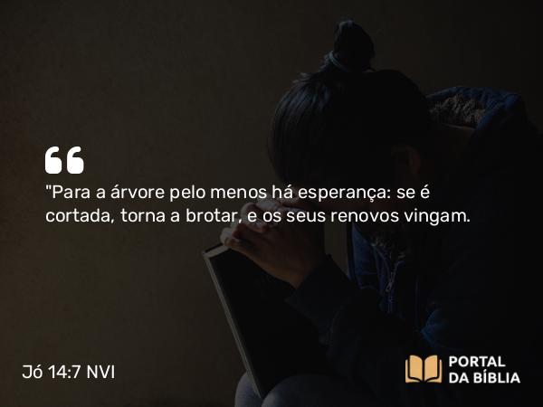 Jó 14:7 NVI - 