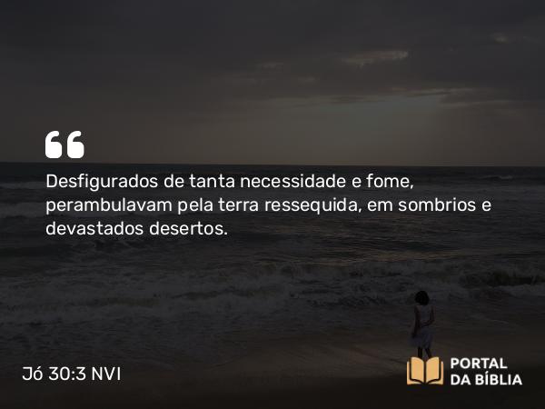 Jó 30:3 NVI - Desfigurados de tanta necessidade e fome, perambulavam pela terra ressequida, em sombrios e devastados desertos.