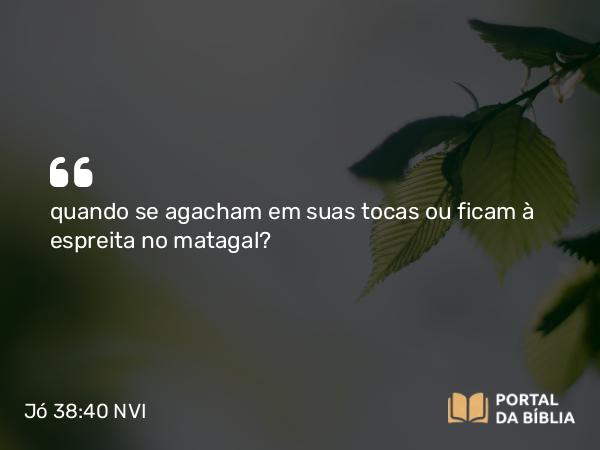 Jó 38:40 NVI - quando se agacham em suas tocas ou ficam à espreita no matagal?