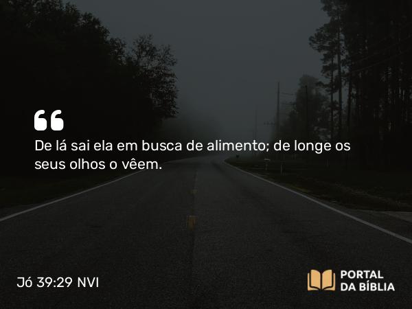 Jó 39:29 NVI - De lá sai ela em busca de alimento; de longe os seus olhos o vêem.