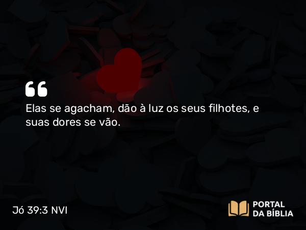 Jó 39:3 NVI - Elas se agacham, dão à luz os seus filhotes, e suas dores se vão.