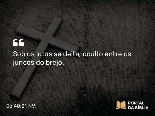 Jó 40:21 NVI - Sob os lotos se deita, oculto entre os juncos do brejo.