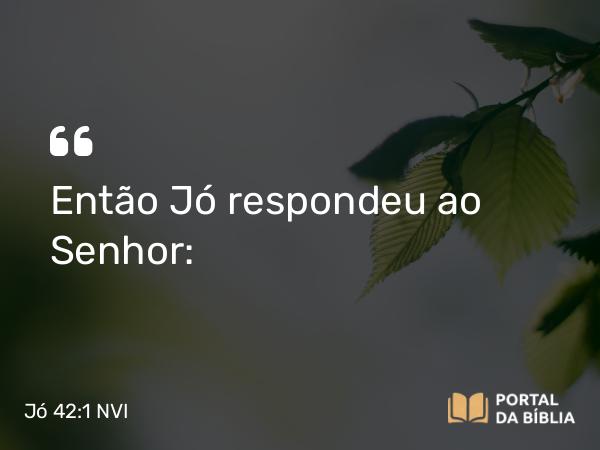 Jó 42:1 NVI - Então Jó respondeu ao Senhor: