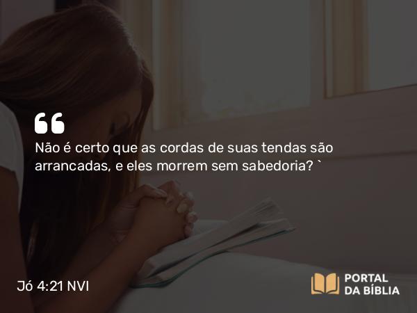 Jó 4:21 NVI - Não é certo que as cordas de suas tendas são arrancadas, e eles morrem sem sabedoria? `