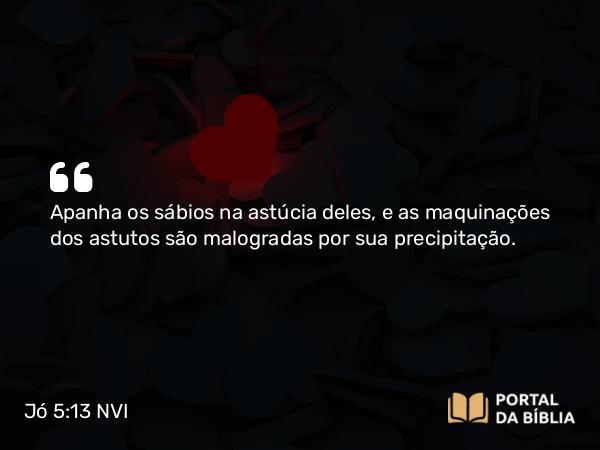 Jó 5:13 NVI - Apanha os sábios na astúcia deles, e as maquinações dos astutos são malogradas por sua precipitação.