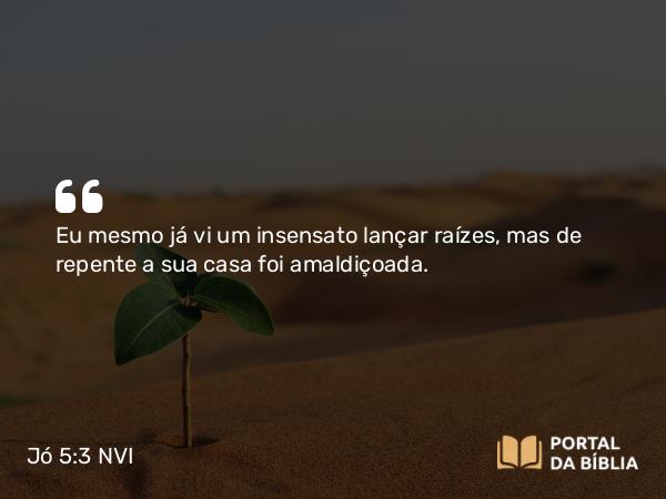 Jó 5:3 NVI - Eu mesmo já vi um insensato lançar raízes, mas de repente a sua casa foi amaldiçoada.