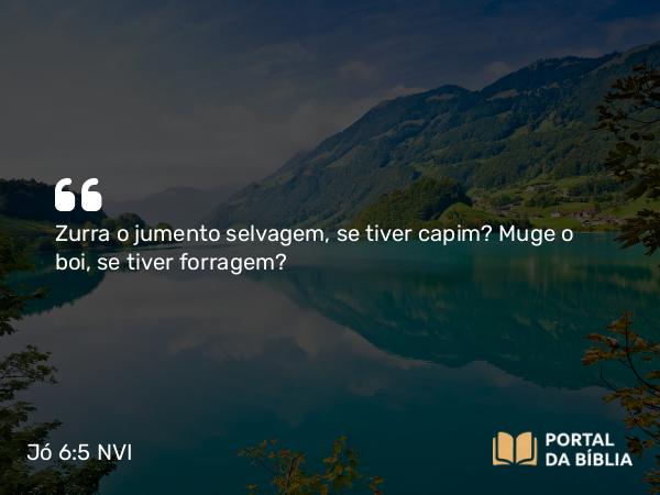 Jó 6:5 NVI - Zurra o jumento selvagem, se tiver capim? Muge o boi, se tiver forragem?