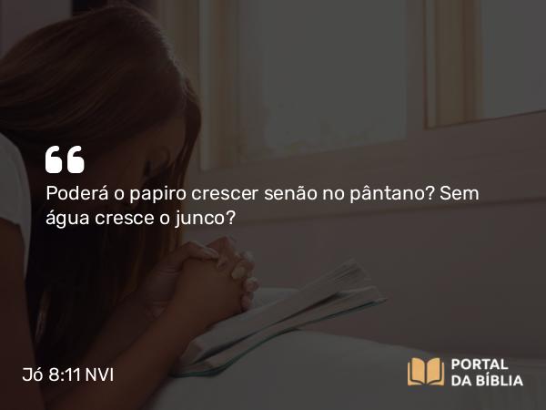 Jó 8:11 NVI - Poderá o papiro crescer senão no pântano? Sem água cresce o junco?