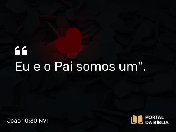 João 10:30 NVI - Eu e o Pai somos um