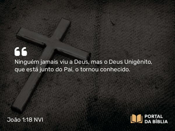 João 1:18 NVI - Ninguém jamais viu a Deus, mas o Deus Unigênito, que está junto do Pai, o tornou conhecido.