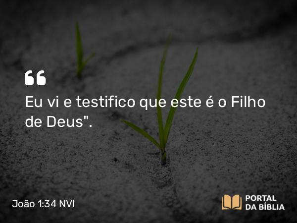 João 1:34 NVI - Eu vi e testifico que este é o Filho de Deus