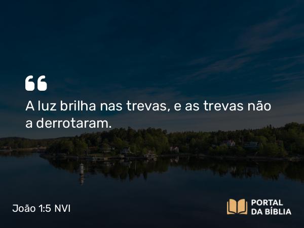 João 1:5 NVI - A luz brilha nas trevas, e as trevas não a derrotaram.