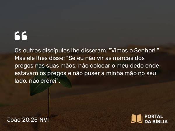 João 20:25 NVI - Os outros discípulos lhe disseram: 