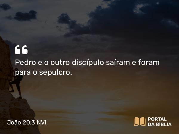 João 20:3 NVI - Pedro e o outro discípulo saíram e foram para o sepulcro.