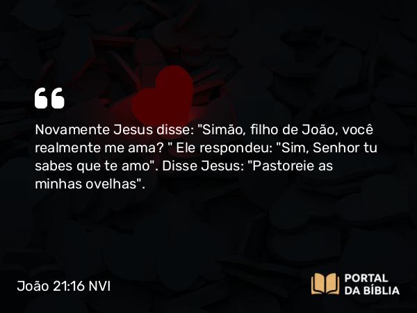 João 21:16 NVI - Novamente Jesus disse: 