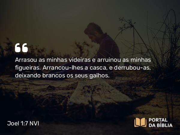 Joel 1:7 NVI - Arrasou as minhas videiras e arruinou as minhas figueiras. Arrancou-lhes a casca, e derrubou-as, deixando brancos os seus galhos.