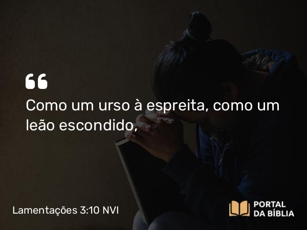 Lamentações 3:10 NVI - Como um urso à espreita, como um leão escondido,