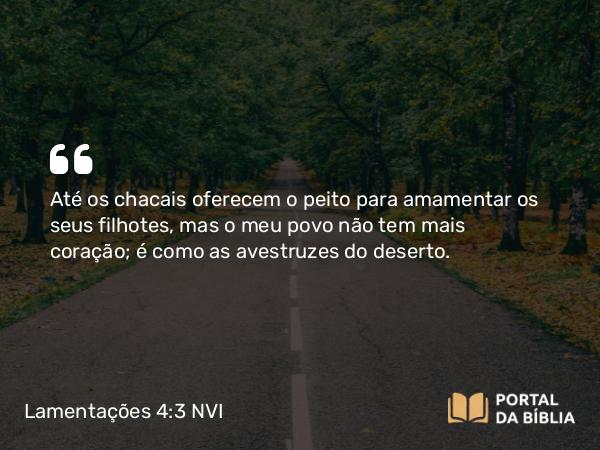 Lamentações 4:3 NVI - Até os chacais oferecem o peito para amamentar os seus filhotes, mas o meu povo não tem mais coração; é como as avestruzes do deserto.