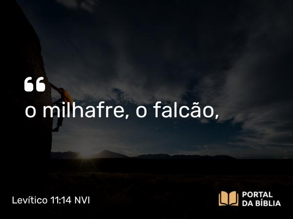 Levítico 11:14 NVI - o milhafre, o falcão,