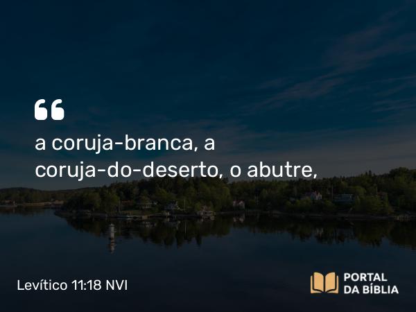 Levítico 11:18 NVI - a coruja-branca, a coruja-do-deserto, o abutre,