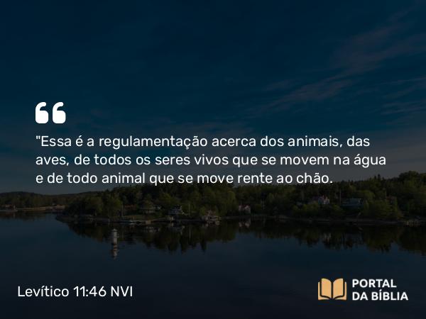 Levítico 11:46 NVI - 