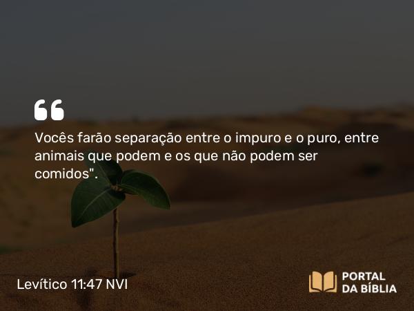 Levítico 11:47 NVI - Vocês farão separação entre o impuro e o puro, entre animais que podem e os que não podem ser comidos