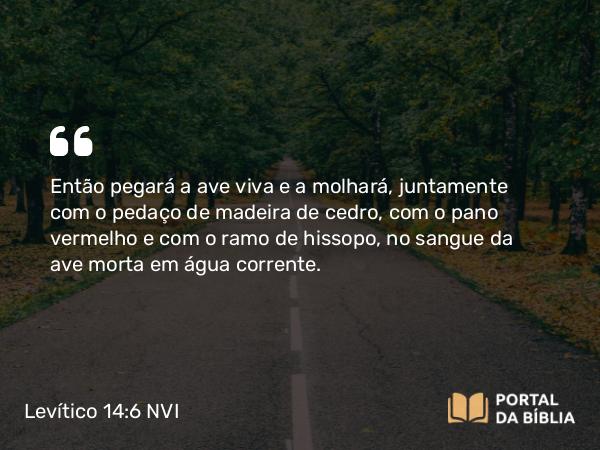 Levítico 14:6 NVI - Então pegará a ave viva e a molhará, juntamente com o pedaço de madeira de cedro, com o pano vermelho e com o ramo de hissopo, no sangue da ave morta em água corrente.