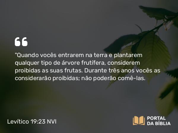 Levítico 19:23 NVI - 