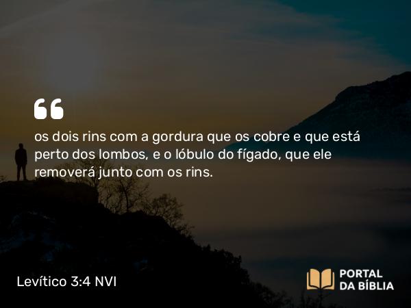 Levítico 3:4 NVI - os dois rins com a gordura que os cobre e que está perto dos lombos, e o lóbulo do fígado, que ele removerá junto com os rins.