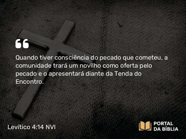 Levítico 4:14 NVI - Quando tiver consciência do pecado que cometeu, a comunidade trará um novilho como oferta pelo pecado e o apresentará diante da Tenda do Encontro.