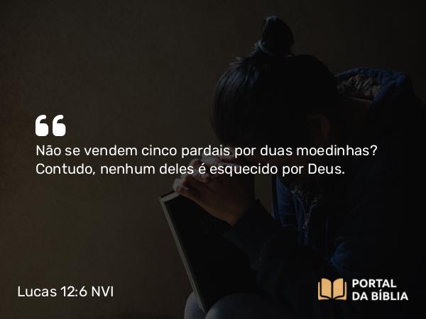 Lucas 12:6 NVI - Não se vendem cinco pardais por duas moedinhas? Contudo, nenhum deles é esquecido por Deus.