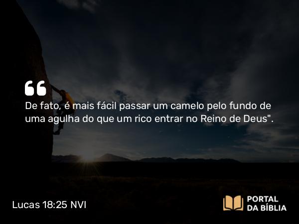 Lucas 18:25 NVI - De fato, é mais fácil passar um camelo pelo fundo de uma agulha do que um rico entrar no Reino de Deus