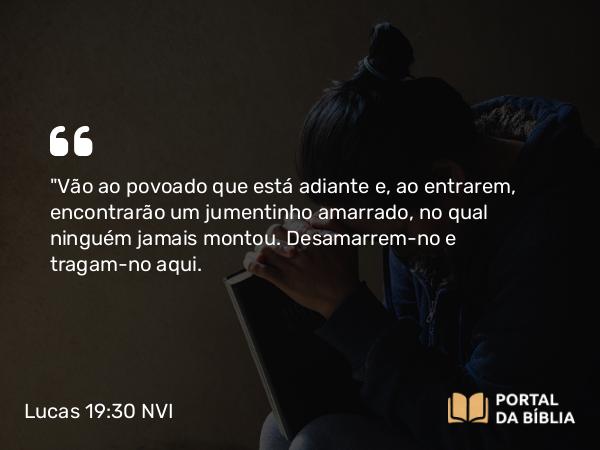 Lucas 19:30 NVI - 